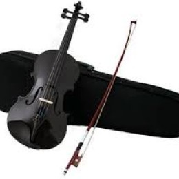 The Rose Acoustic Violin Professional with Hard Case, Bow & Accessories (Glossy Black)