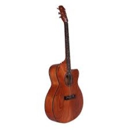 G303 Acoustic Guitar (Wooden)