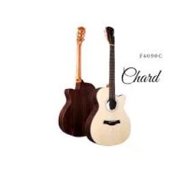 Chard C19 Acoustic Cutaway Guitar