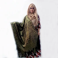 Exclusive Party Wear Shawl