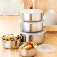 Stainless Steel Protect Fresh Box (5 Pcs)