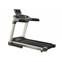 Daily Youth Foldable GT3 Light Commercial Motorized Treadmill