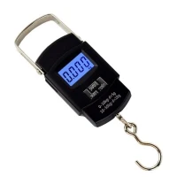 Electric Portable Scale