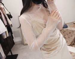 Long-Sleeved Lace Shirt Women's Fishnet Net Yarn Shirt, See-Through Sexy Small Stand-up Collar